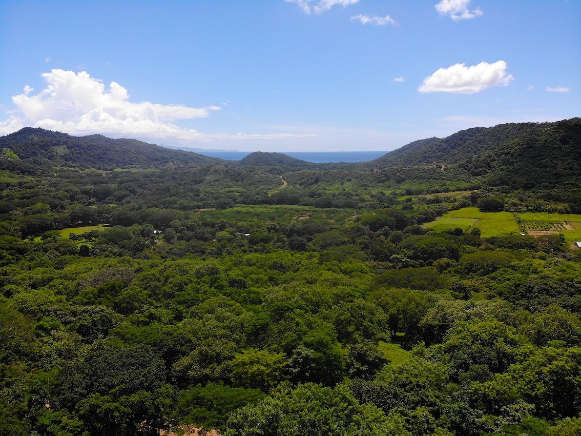 Embrace nature with almost 3 Acres in Las Fincas, south of San Juan del Sur - Image 9