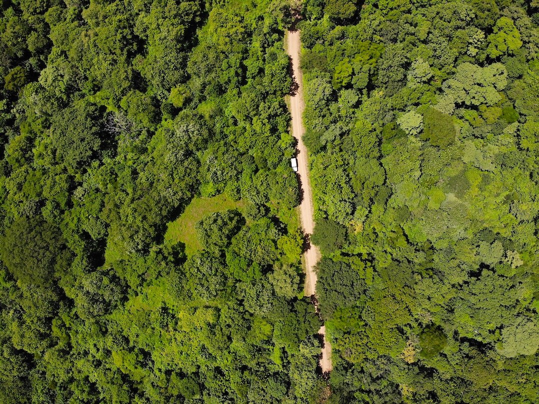 Embrace nature with almost 3 Acres in Las Fincas, south of San Juan del Sur - Image 4