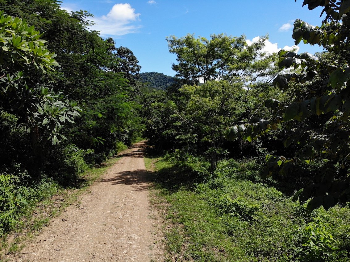 Embrace nature with almost 3 Acres in Las Fincas, south of San Juan del Sur - Image 6