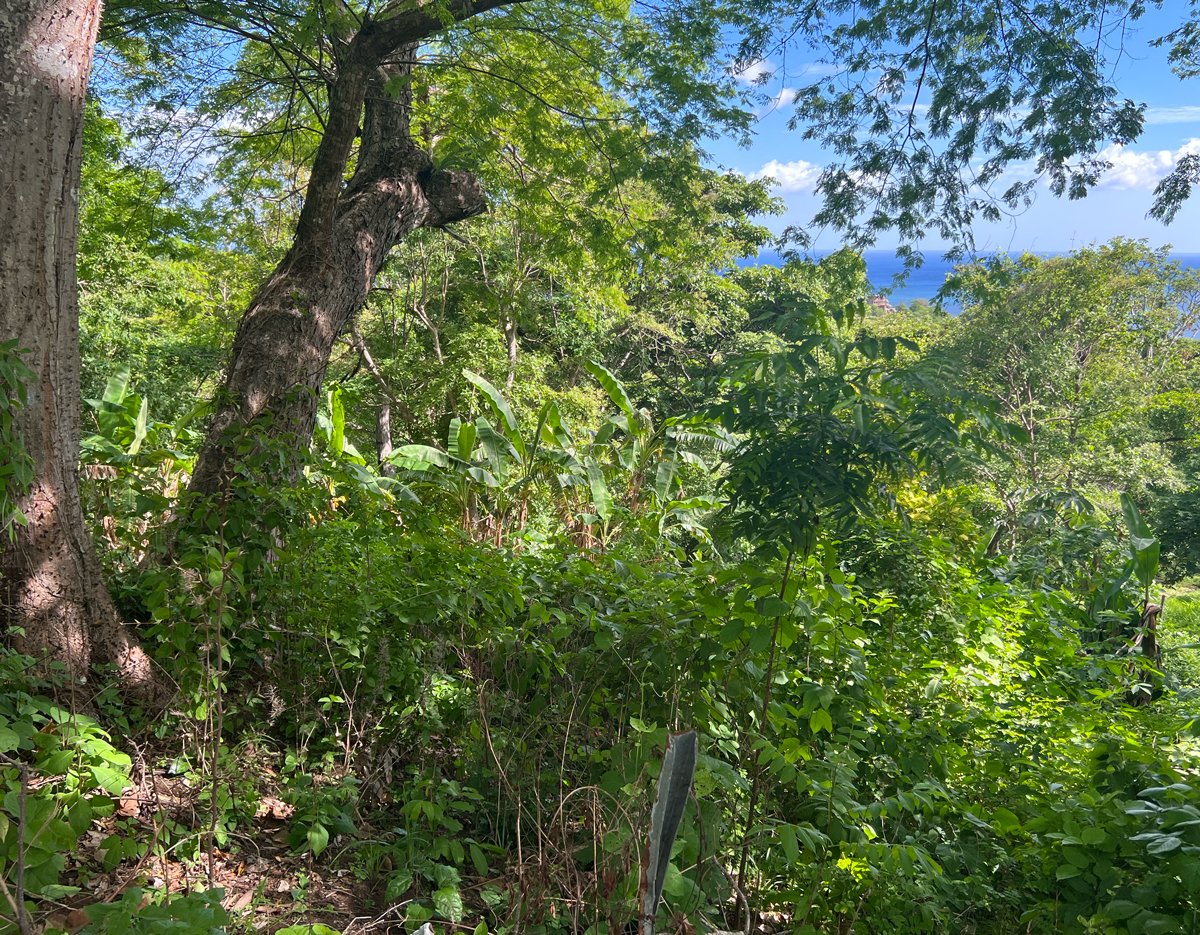 Nearly an Acre near Maderas Beach - Image 5