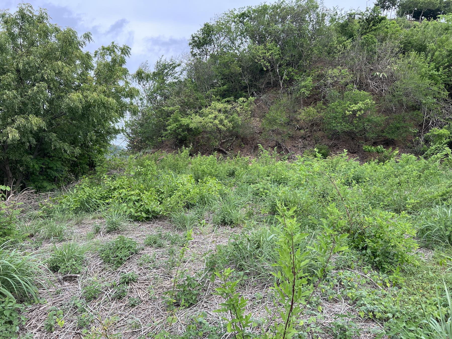 Bay View Lot at Pacific Marlin - Image 8