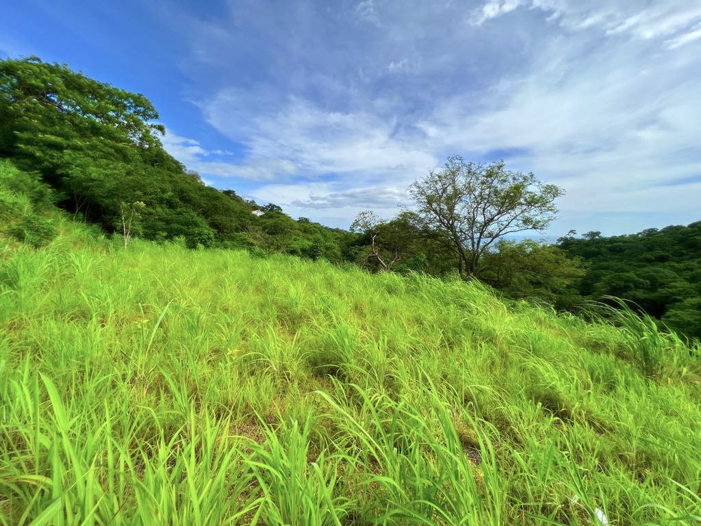 Flat Ocean-View Lot | Only 3 Minutes From Town - Image 3