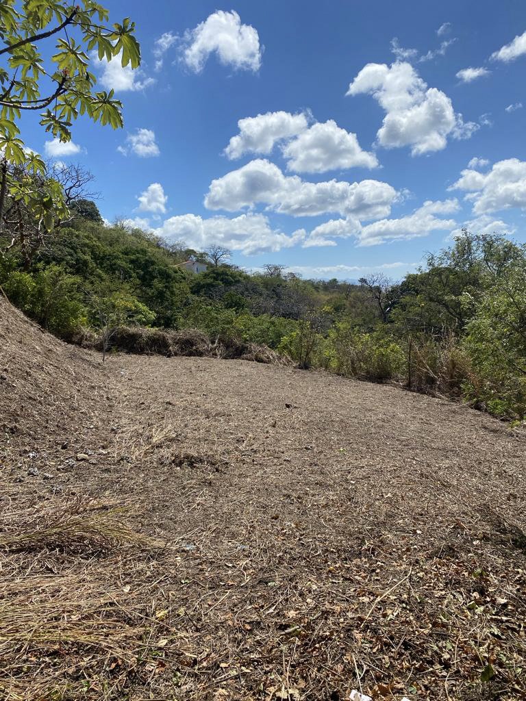 Flat Ocean-View Lot | Only 3 Minutes From Town - Image 6
