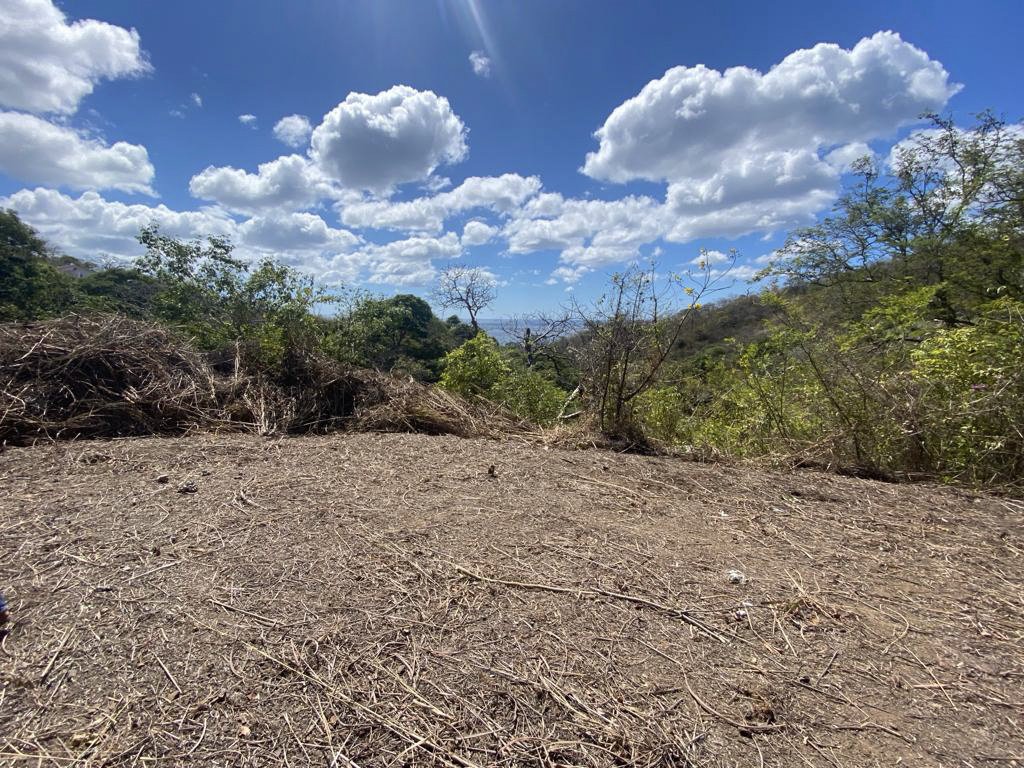 Flat Ocean-View Lot | Only 3 Minutes From Town - Image 7