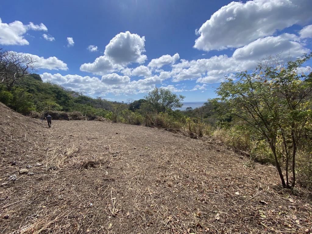 Flat Ocean-View Lot | Only 3 Minutes From Town - Image 8