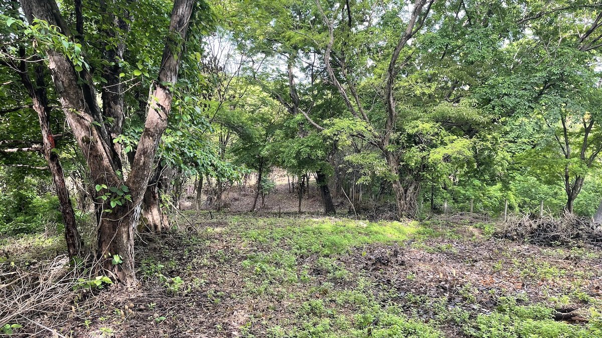 Playa El Coco Hillside Lot - Image 6