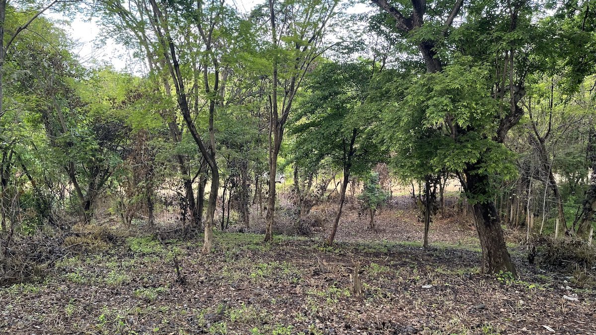 Playa El Coco Hillside Lot - Image 10