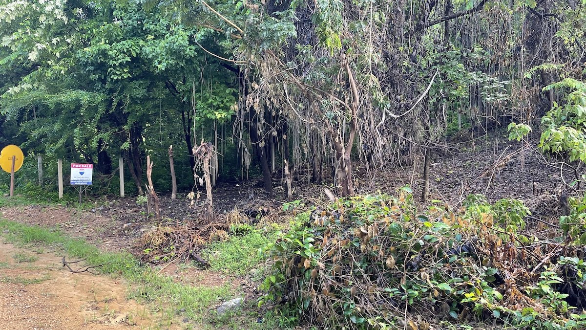 Playa El Coco Hillside Lot - Image 9