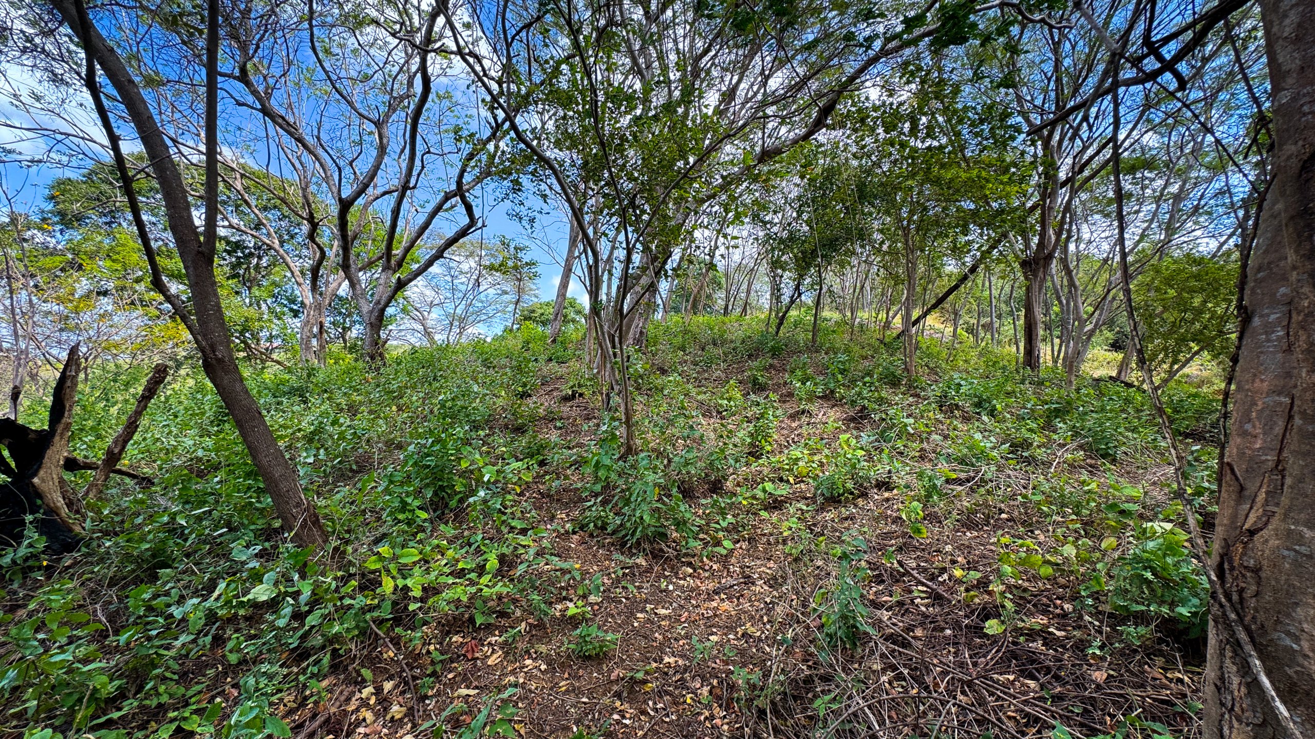 Rancho Santana Bella Vista Oceanview Lot - Image 6