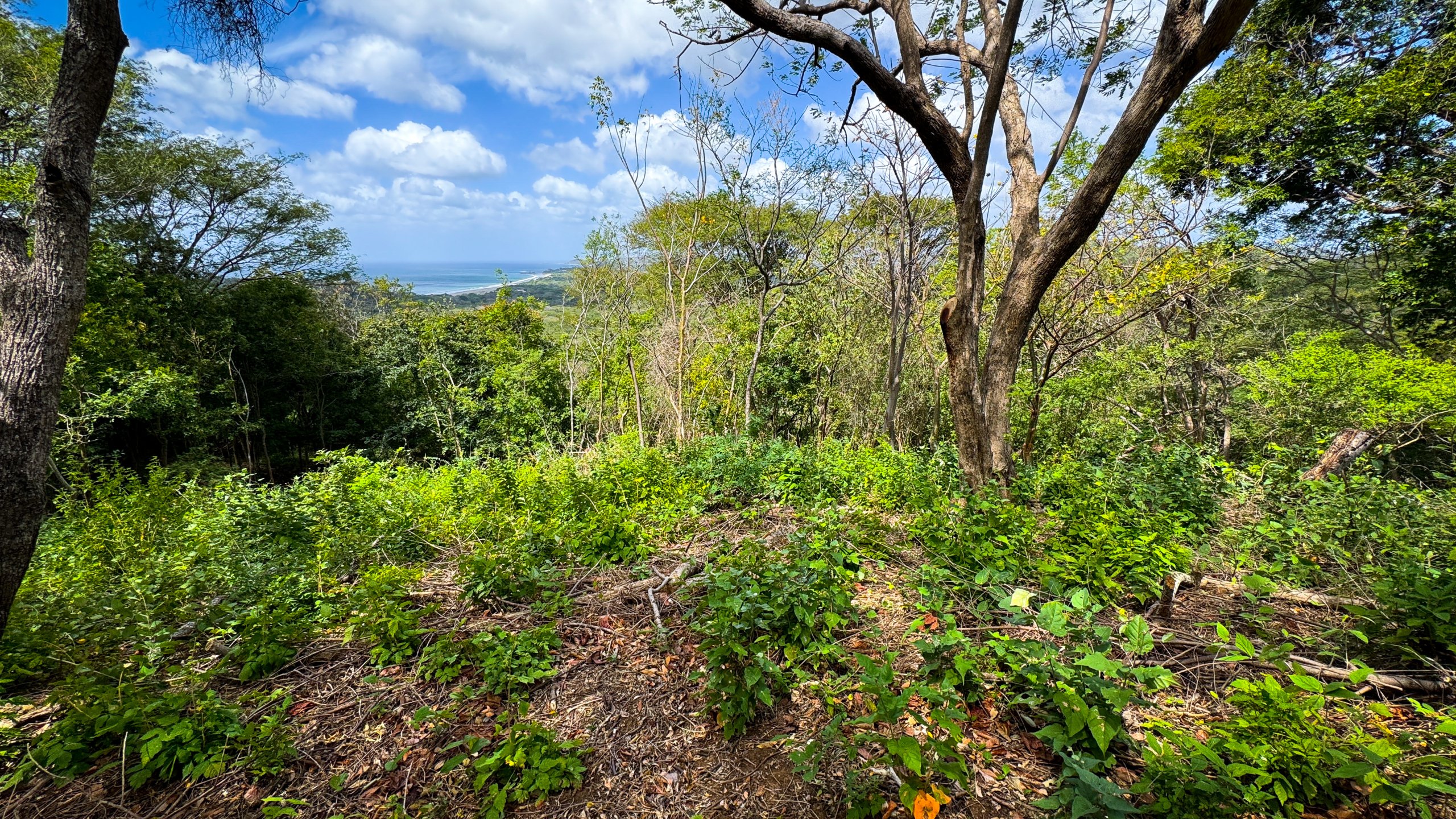 Rancho Santana Bella Vista Oceanview Lot - Image 5