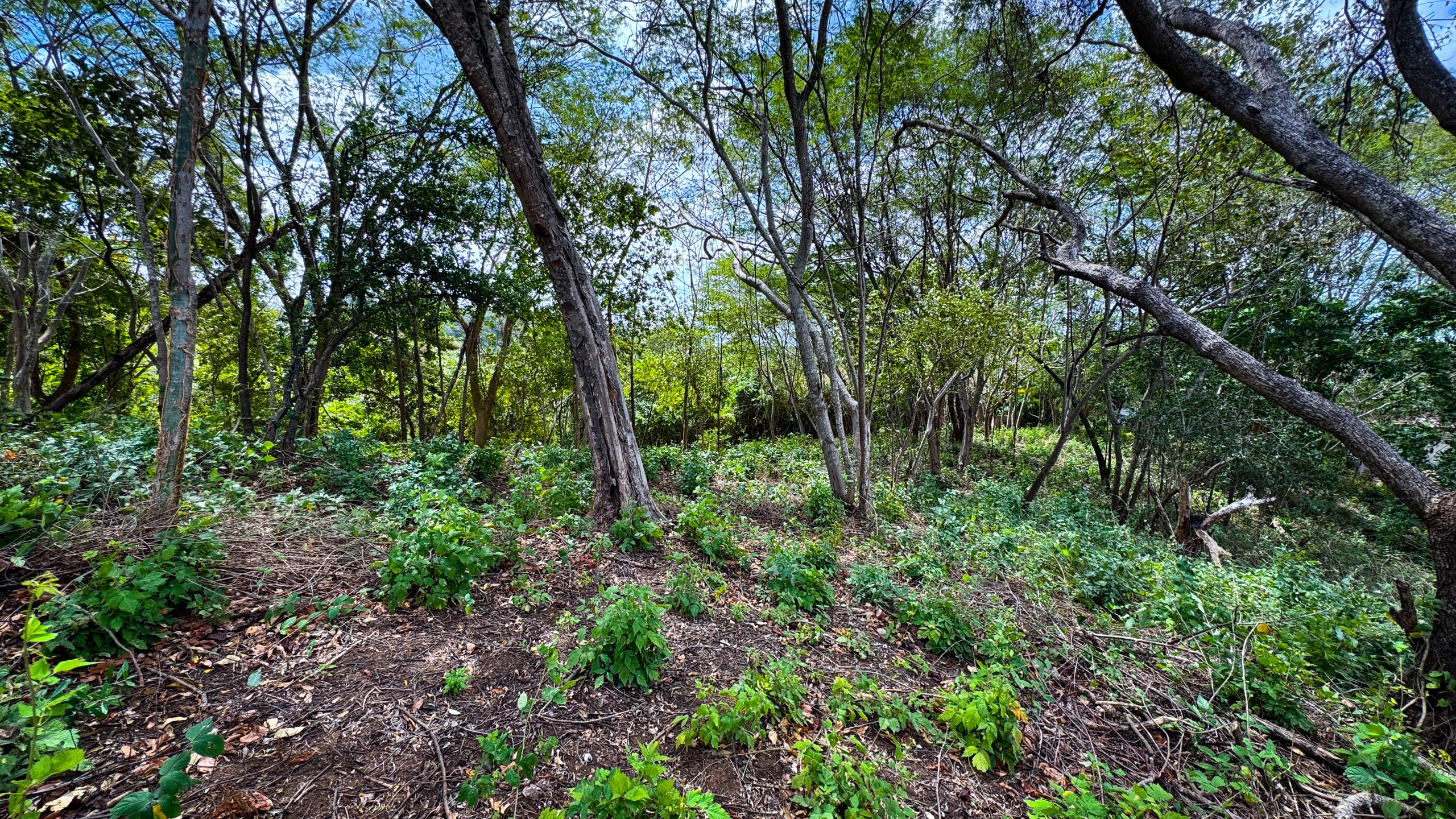 Rancho Santana Bella Vista Oceanview Lot - Image 4
