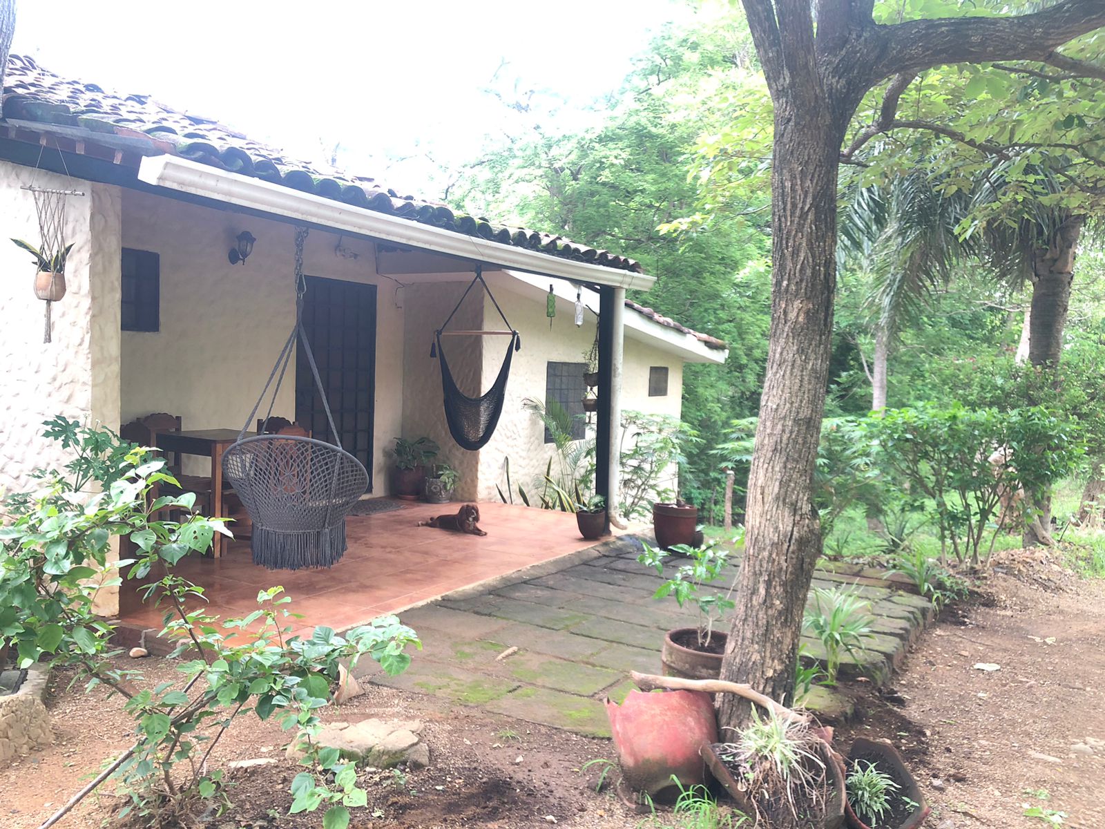 Charming Bungalow in San Juan del Sur - Image 30